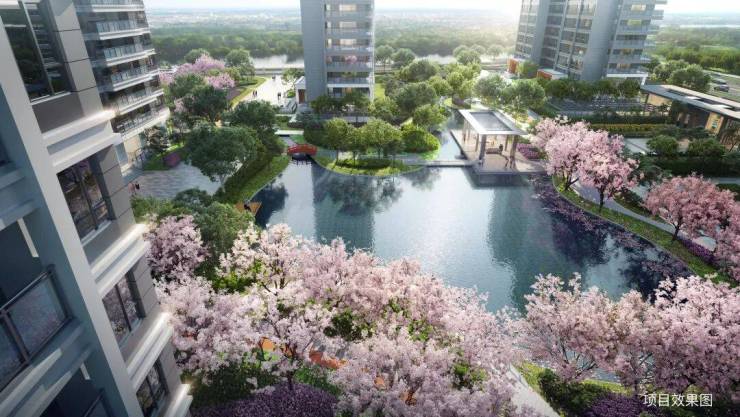 和风雅信-双500强精工大宅!和风雅信坐拥高铁新城核心政策利好下抢占稀缺资产(图7)