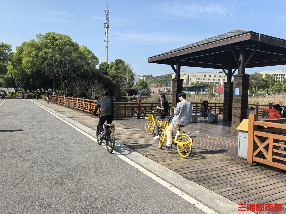 长沙40个公园将“定制”升级“公园+体育”解锁健身新场景(图2)