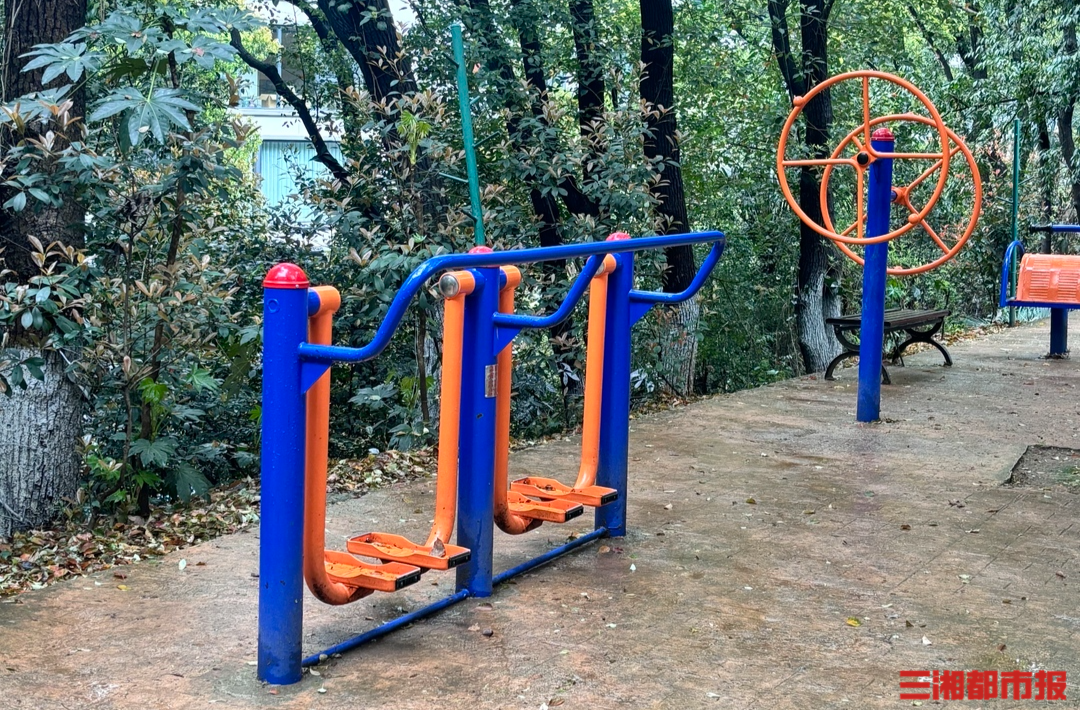 长沙40个公园将“定制”升级“公园+体育”解锁健身新场景(图3)