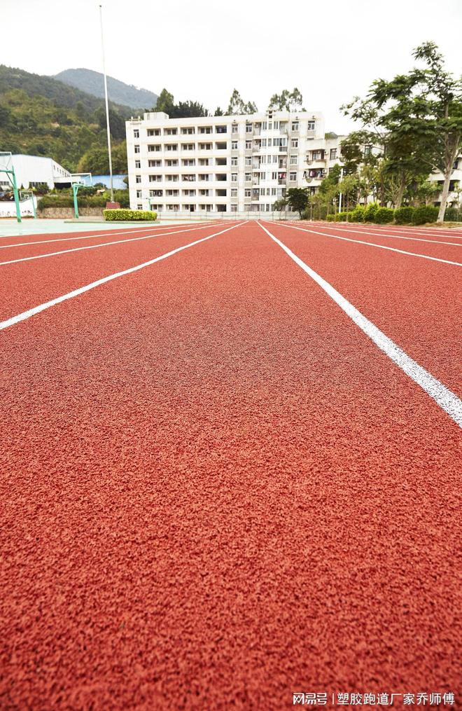 揭秘塑胶跑道的多彩材料世界：从基础到卓越的性能解析(图2)