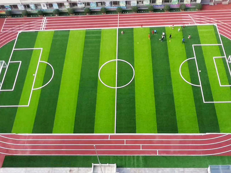 学校塑胶跑道由哪几个部分组成?(图1)