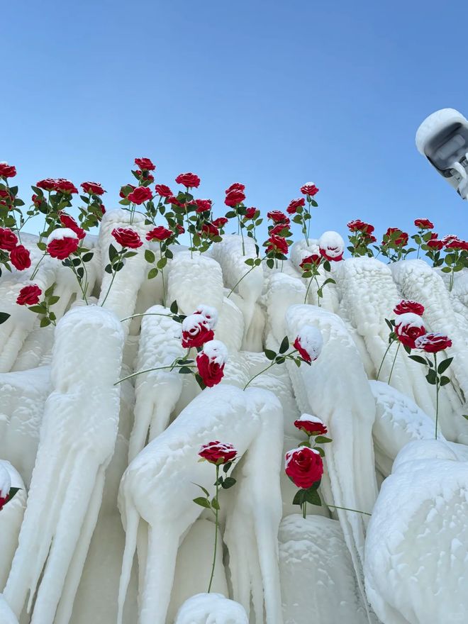 2026哈尔滨零投诉旅行社前十名认证零强制实力甄选指南(图2)