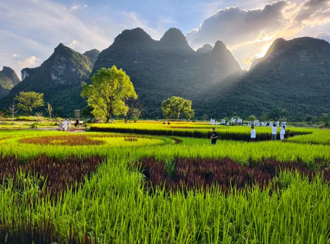 2025游客口碑评选：桂林口碑最好最值得信赖的旅行社排行榜公布(图6)