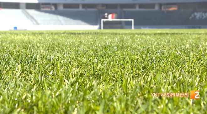 拓东体育场亮灯了！蓝花楹配色座椅初现夜景灯光太美预计5月底惊艳亮相！(图5)