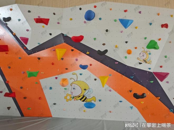 破解高校攀岩墙建设师资困境：来源拓宽与培训提质并行(图4)